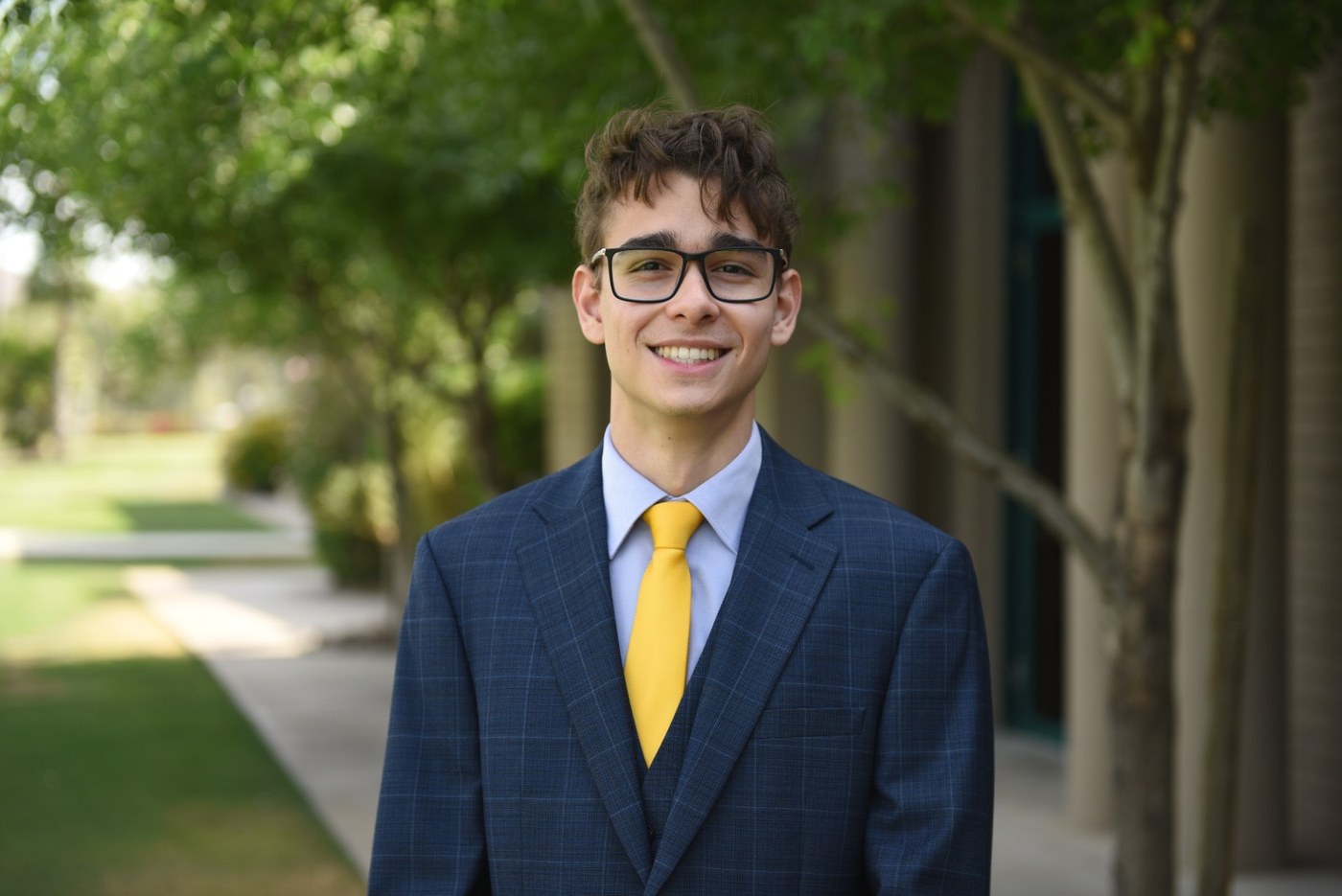 Alex Josanu, Consultant